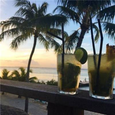 海贼终极之战游戏