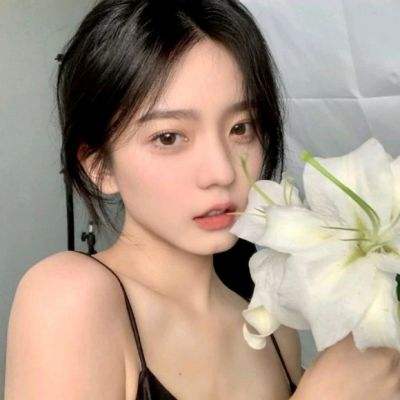 篮球经理梦之队游戏破解版下载